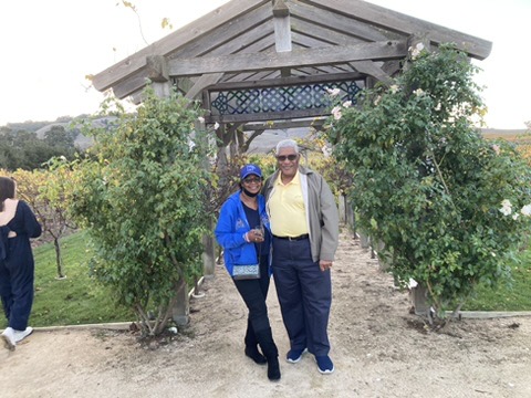 Together in Sonoma · November 2023